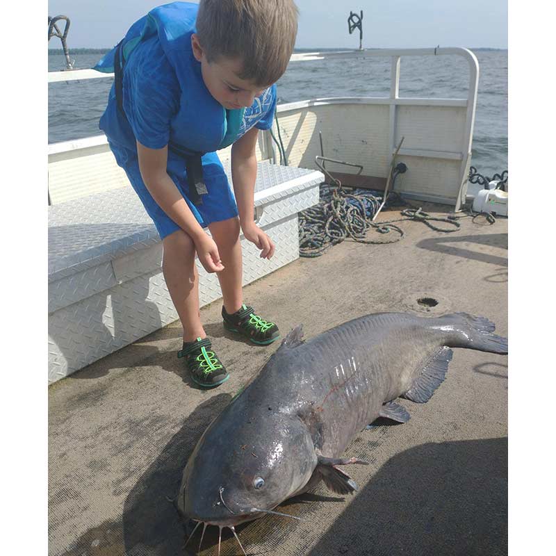 AHQ INSIDER Santee Cooper (SC) Summer 2021 Fishing Report – Updated June 18