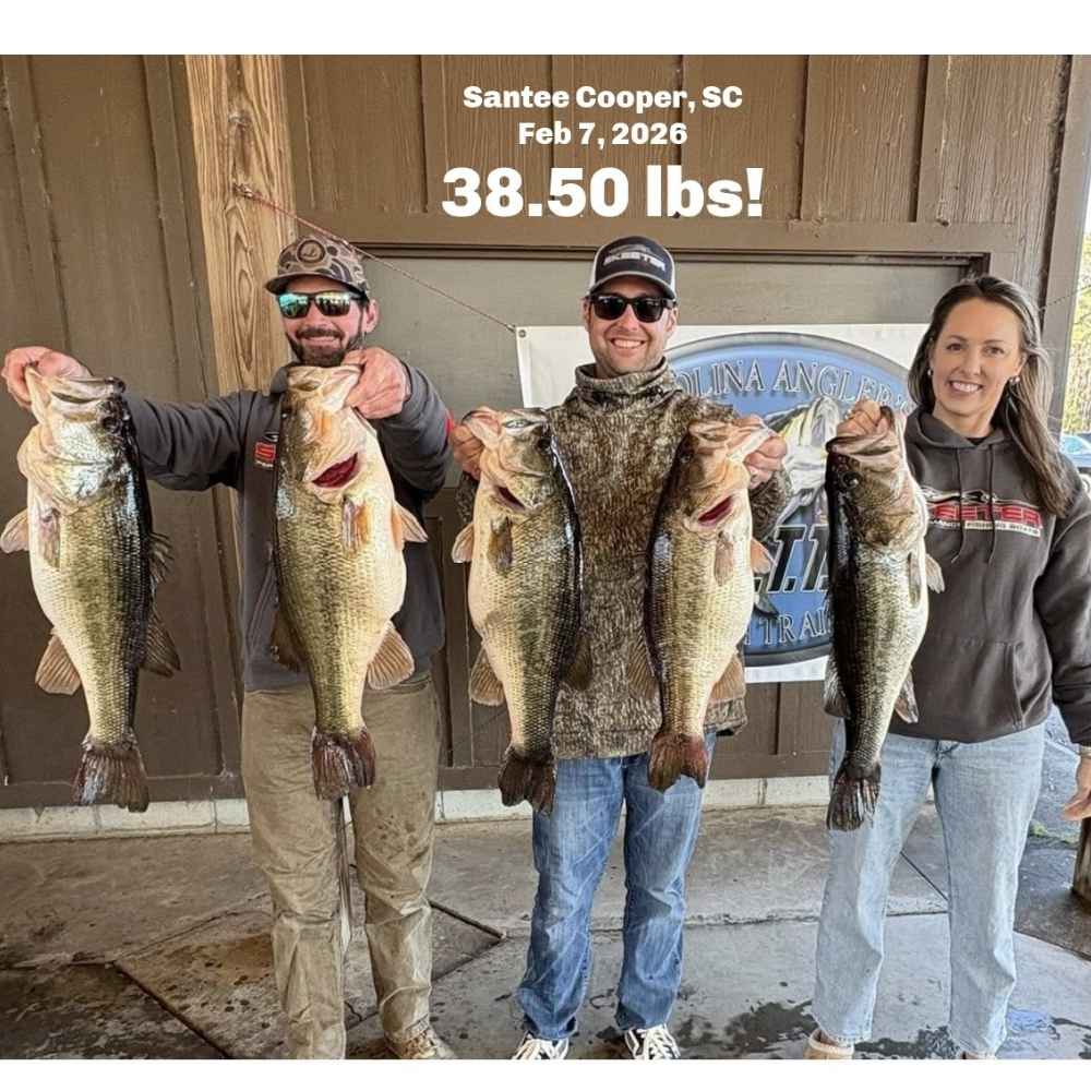 AHQ INSIDER Santee Cooper (SC) 2026 Week 7 Fishing Report – Updated February 11
