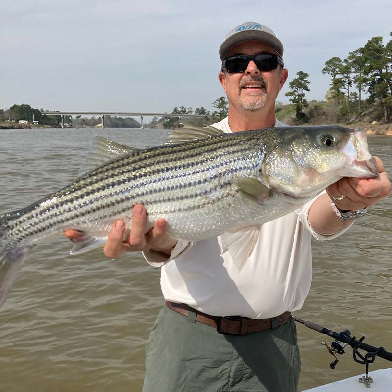 AHQ INSIDER Santee Cooper (SC) 2023 Week 10 Fishing Report – Updated March 8