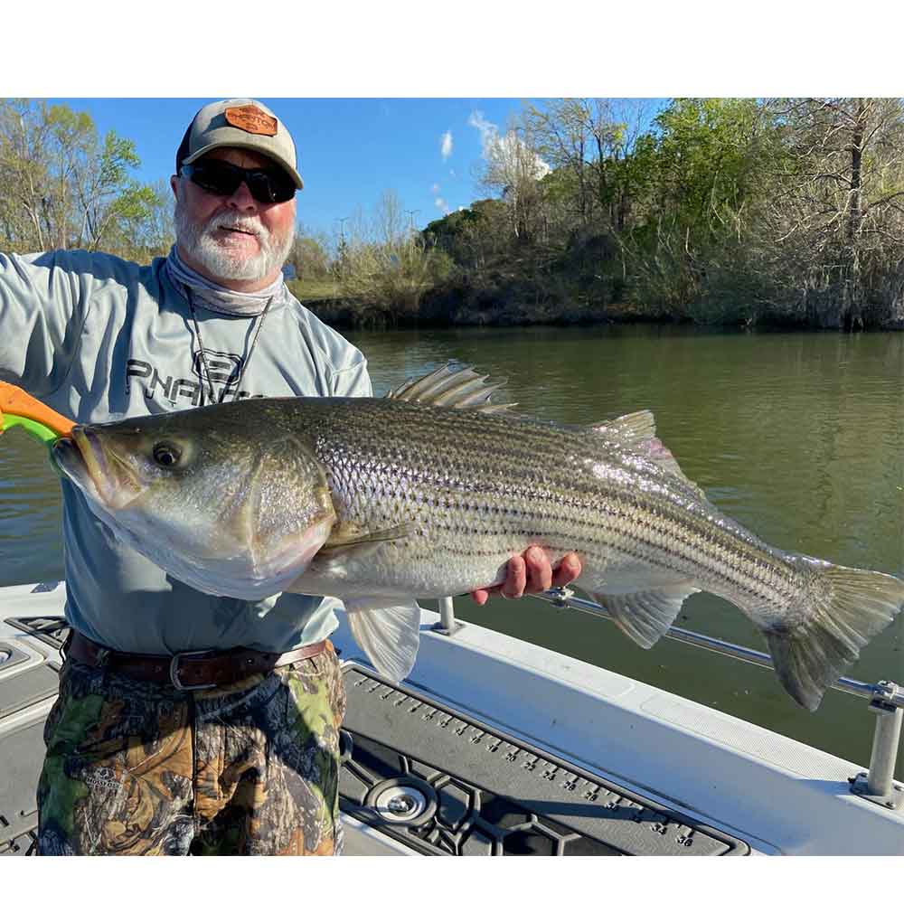 Yesterday with Captain Joe Dennis