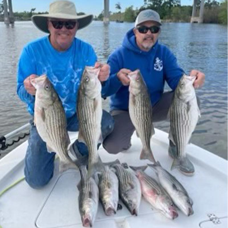 AHQ INSIDER Santee Cooper (SC) 2023 Week 15 Fishing Report – Updated April 11