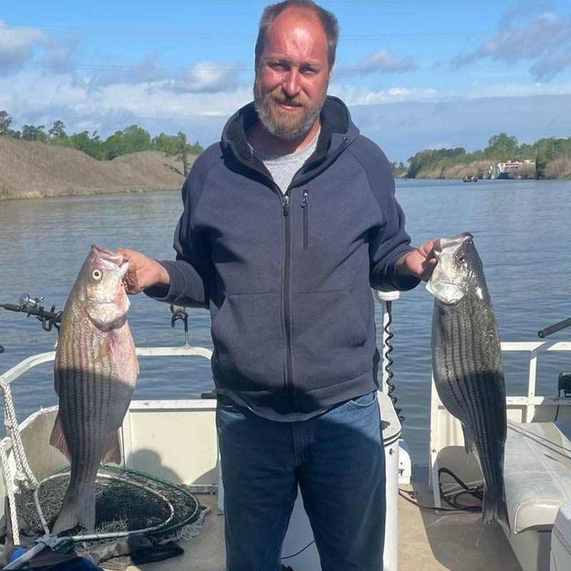 AHQ INSIDER Santee Cooper (SC) 2024 Week 11 Fishing Report – Updated March 14