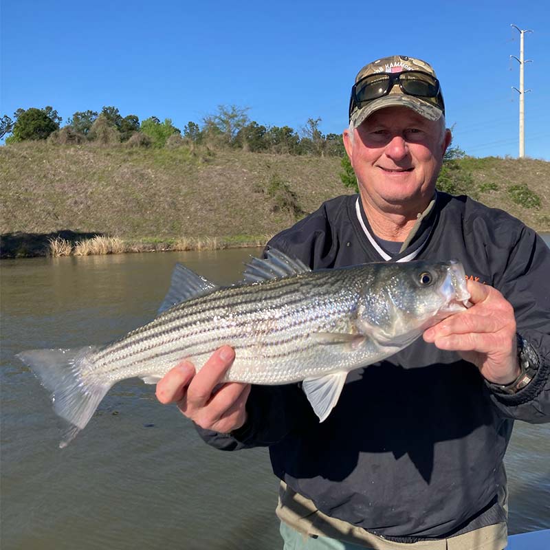 AHQ INSIDER Santee Cooper (SC) 2022 Week 14 Fishing Report – Updated April 8