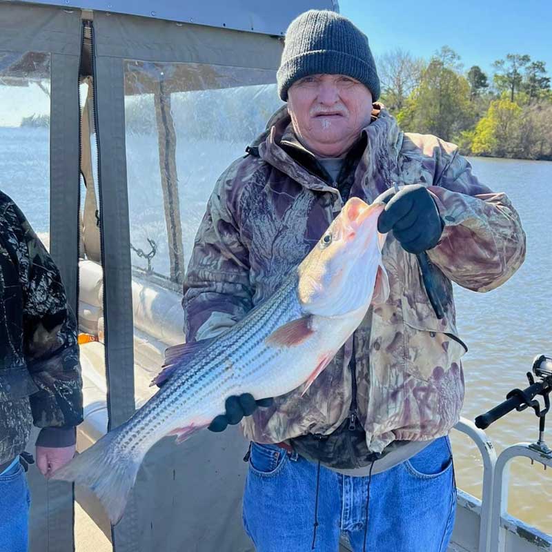 AHQ INSIDER Santee Cooper (SC) 2023 Week 11 Fishing Report – Updated March 16