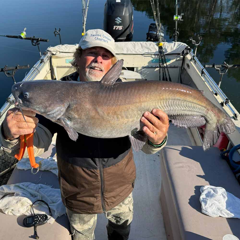 A good one this week with Captain Joe Dennis