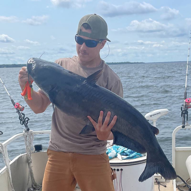 AHQ INSIDER Santee Cooper (SC) 2023 Week 25 Fishing Report – Updated June 22