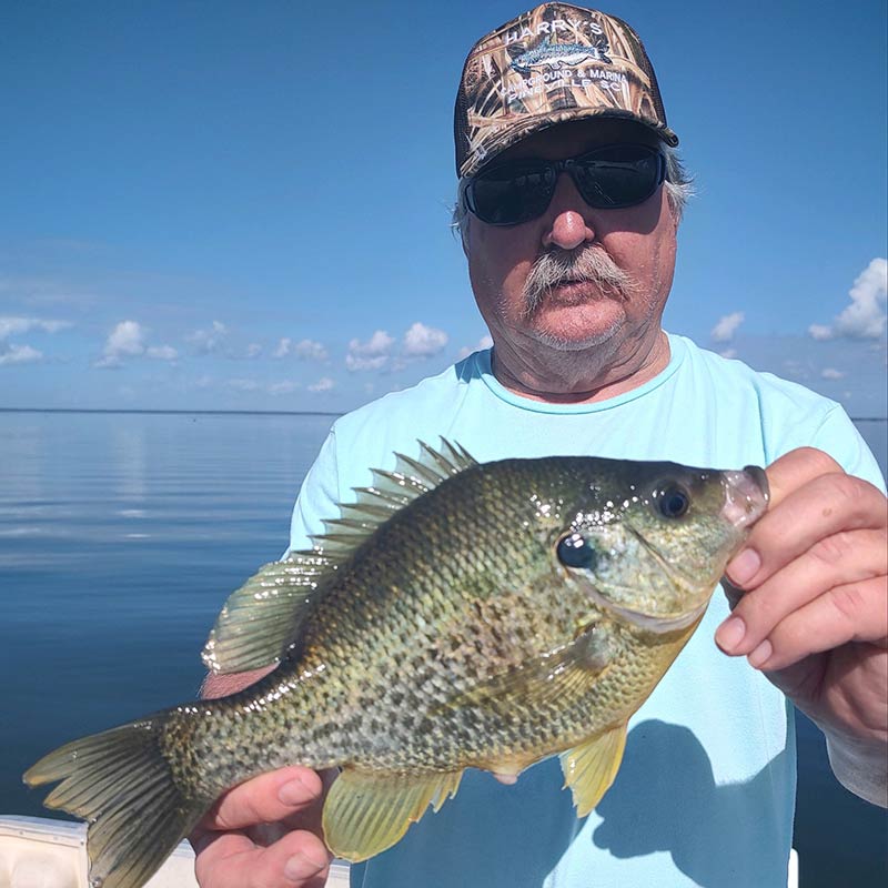 AHQ INSIDER Santee Cooper (SC) 2023 Week 44 Fishing Report – Updated November 3