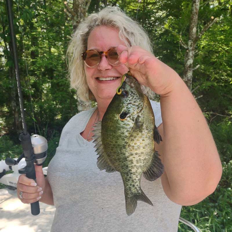 AHQ INSIDER Santee Cooper (SC) 2022 Week 20 Fishing Report – Updated May 19