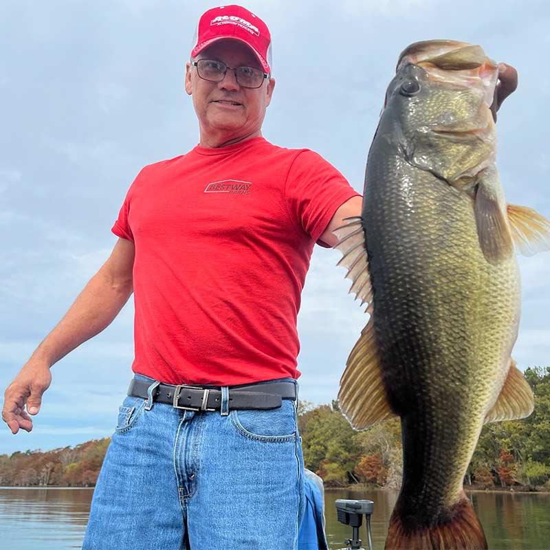 AHQ INSIDER Santee Cooper (SC) 2023 Week 46 Fishing Report – Updated November 17
