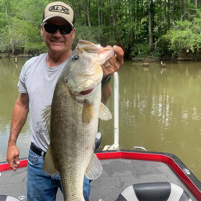 AHQ INSIDER Santee Cooper (SC) 2023 Week 24 Fishing Report – Updated June 16