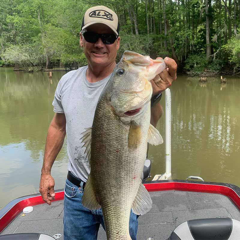 AHQ INSIDER Santee Cooper (SC) 2022 Week 26 Fishing Report – Updated July 1