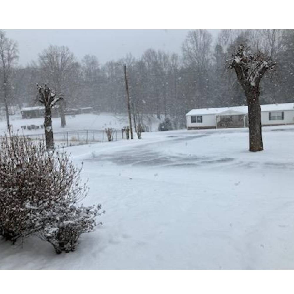 AHQ INSIDER Santee Cooper (SC) 2026 Week 6 Fishing Report – Updated February 4