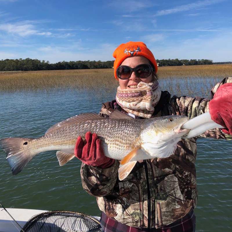 AHQ INSIDER Hilton Head Island (SC) Fall 2019 Fishing Report - Updated December 11