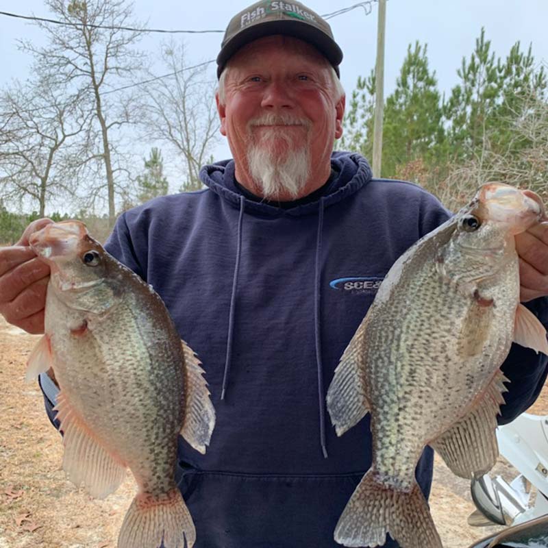 AHQ INSIDER Lake Wateree (SC) Spring 2021 Fishing Report – Updated March 10