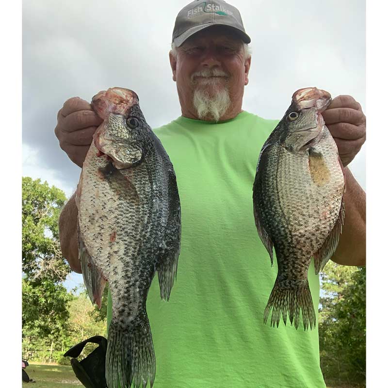 AHQ INSIDER Lake Wateree (SC) 2022 Week 37 Fishing Report – Updated September 15