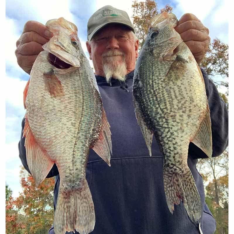 AHQ INSIDER Lake Wateree (SC) 2022 Week 46 Fishing Report – Updated November 17