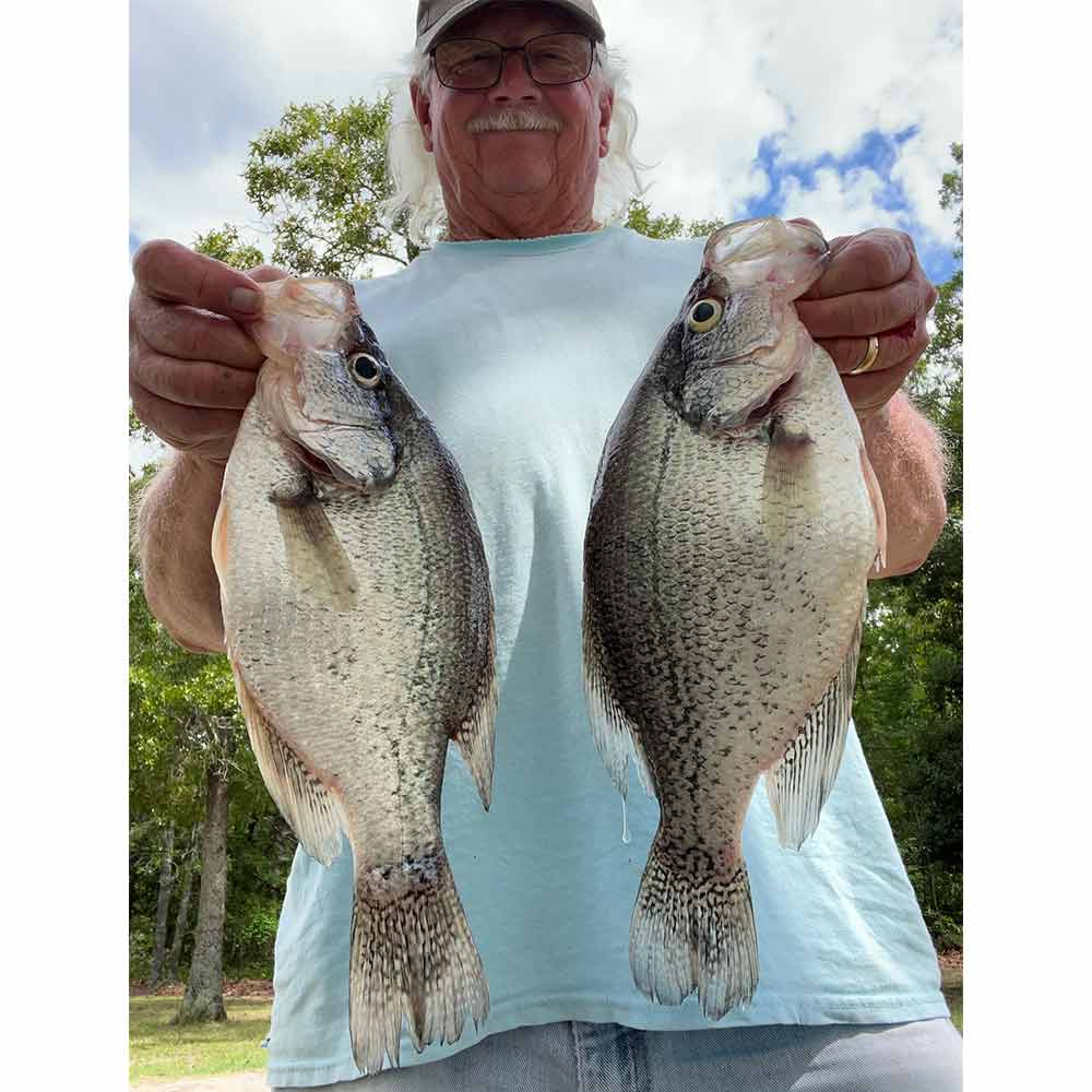 Will Hinson notes the fish on the right is full of eggs - and considering the water temperature probably won't spawn this year