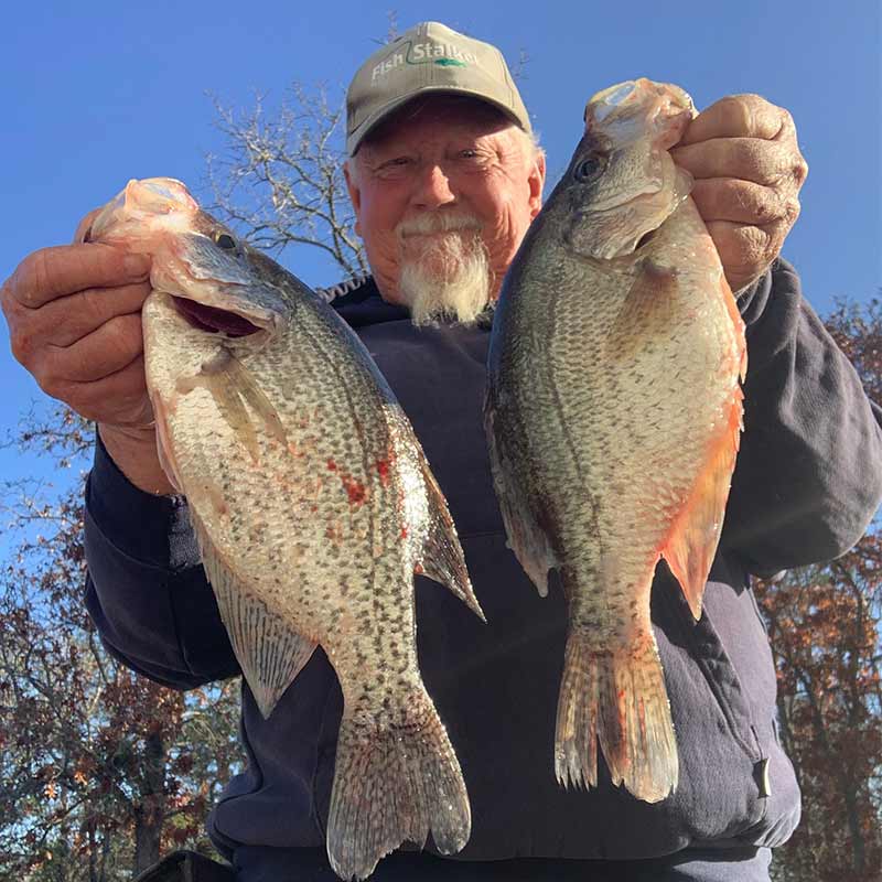 AHQ INSIDER Lake Wateree (SC) 2023 Week 1 Fishing Report – Updated January 5