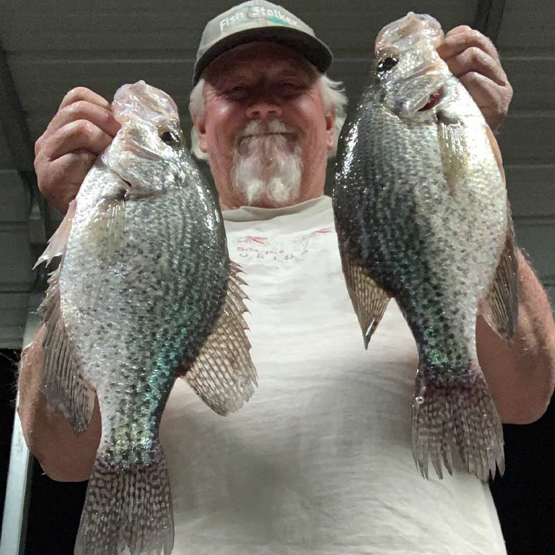 AHQ INSIDER Lake Wateree (SC) Fall 2021 Fishing Report – Updated December 2