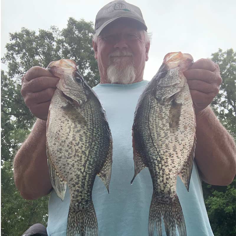 AHQ INSIDER Lake Wateree (SC) 2023 Week 25 Fishing Report – Updated June 22