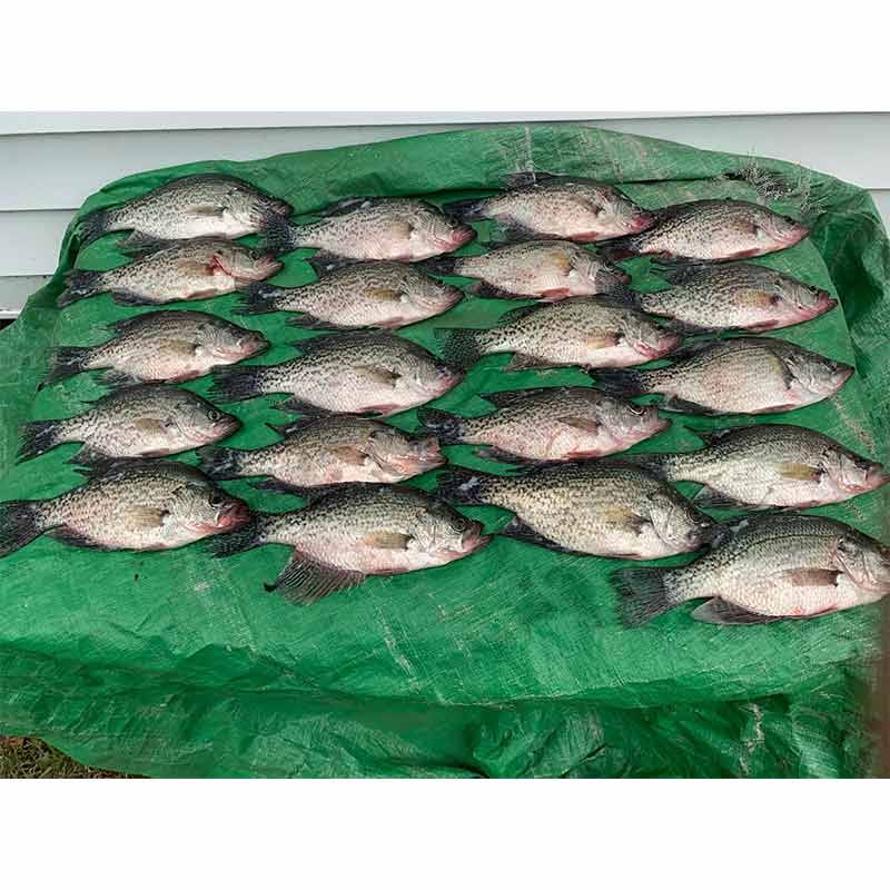 AHQ INSIDER Lake Wateree (SC) 2022 Week 28 Fishing Report – Updated July 15