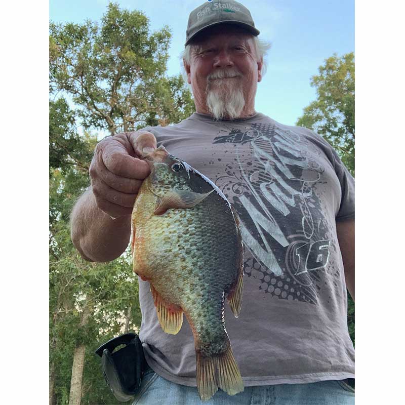 AHQ INSIDER Lake Wateree (SC) 2022 Week 26 Fishing Report – Updated July 1