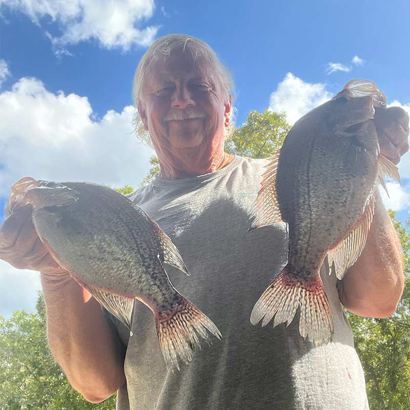 AHQ INSIDER Lake Wateree (SC) 2023 Week 41 Fishing Report – Updated October 13