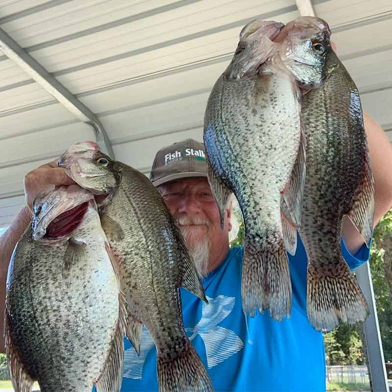 AHQ INSIDER Lake Wateree (SC) Fall 2021 Fishing Report – Updated September 16
