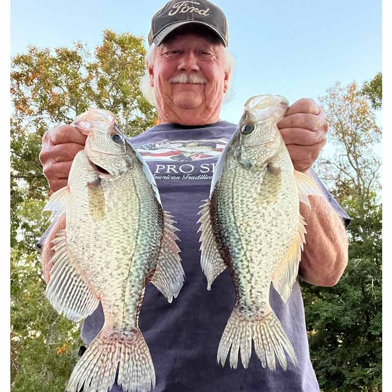 AHQ INSIDER Lake Wateree (SC) 2023 Week 43 Fishing Report – Updated October 26