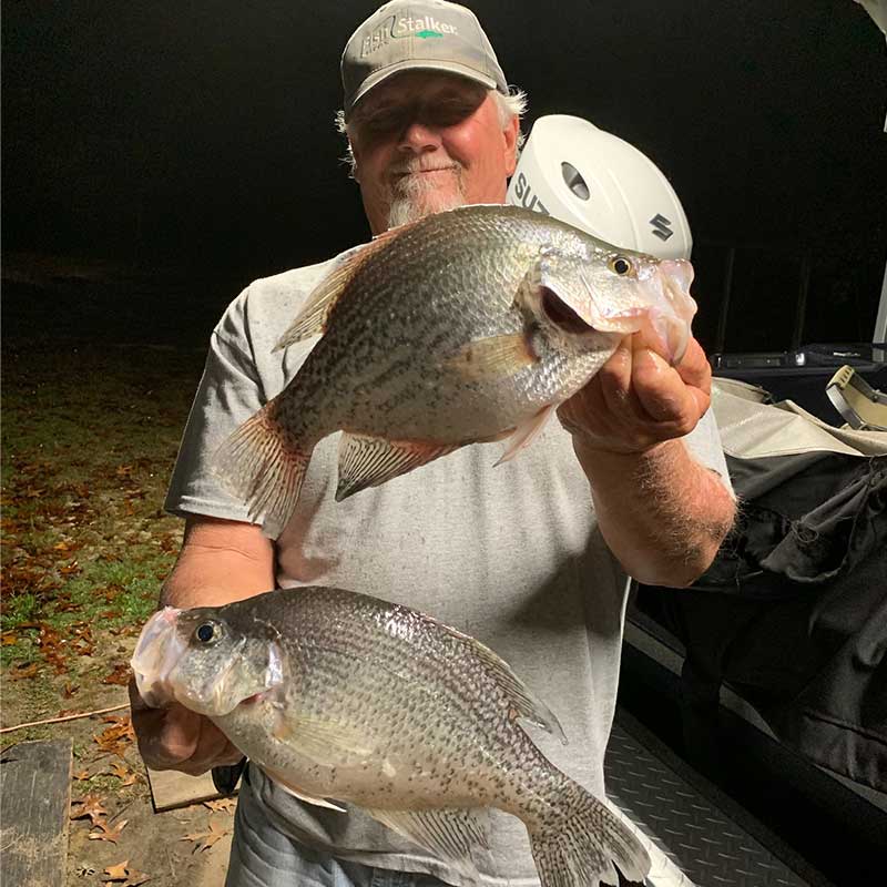 AHQ INSIDER Lake Wateree (SC) Fall Fishing Report – Updated November 12