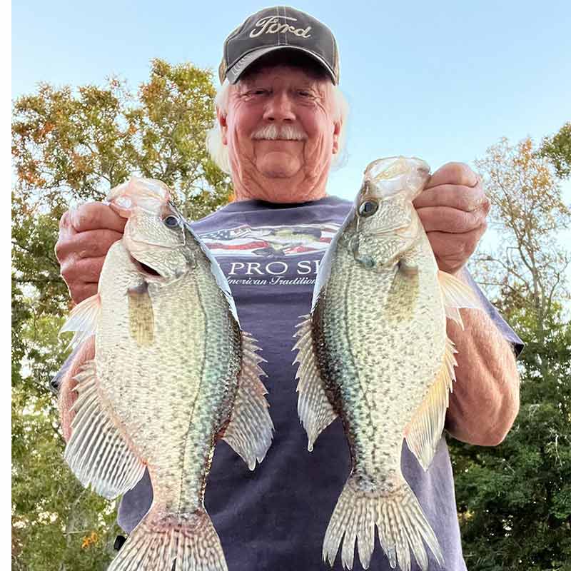 AHQ INSIDER Lake Wateree (SC) 2024 Week 1 Fishing Report – Updated January 3