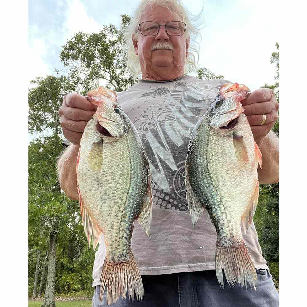 Will Hinson yesterday