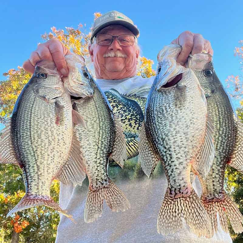 AHQ INSIDER Lake Wateree (SC) 2023 Week 45 Fishing Report – Updated November 9