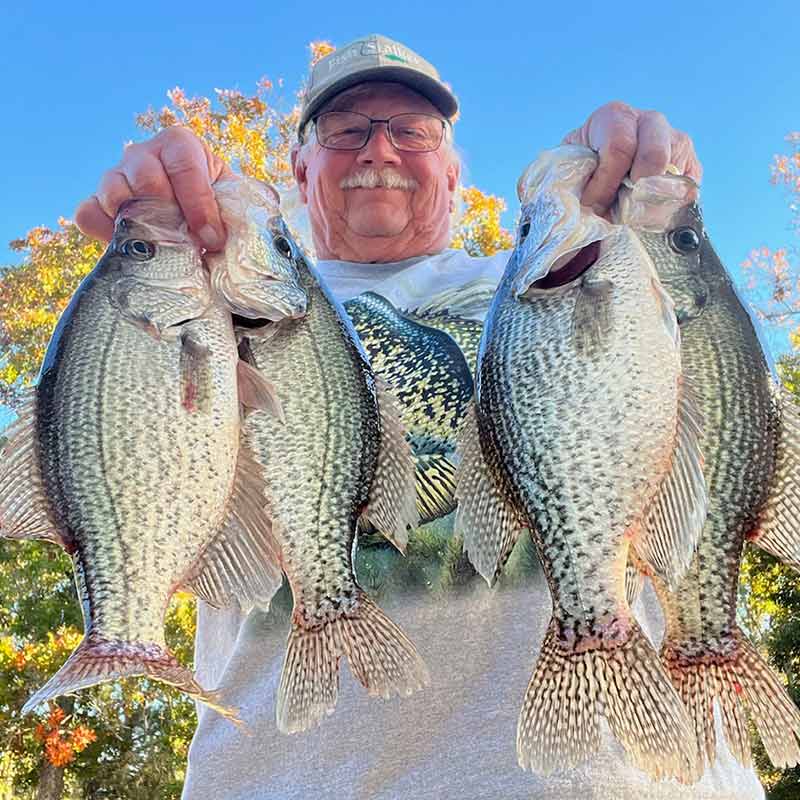 AHQ INSIDER Lake Wateree (SC) 2023 Week 45 Fishing Report – Updated November 9