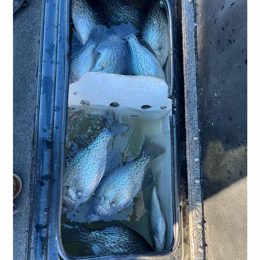 Plenty for dinner with Will Hinson