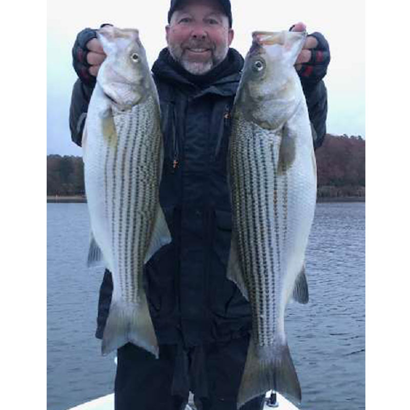 AHQ INSIDER Lake Wateree (SC) 2023 Week 46 Fishing Report – Updated November 16