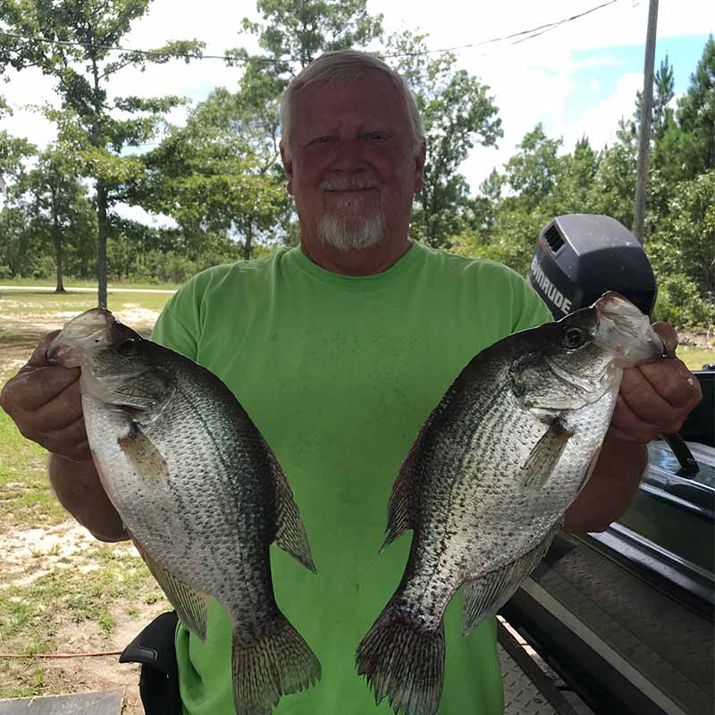 AHQ INSIDER Lake Wateree (SC) Summer Fishing Report – Updated July 29