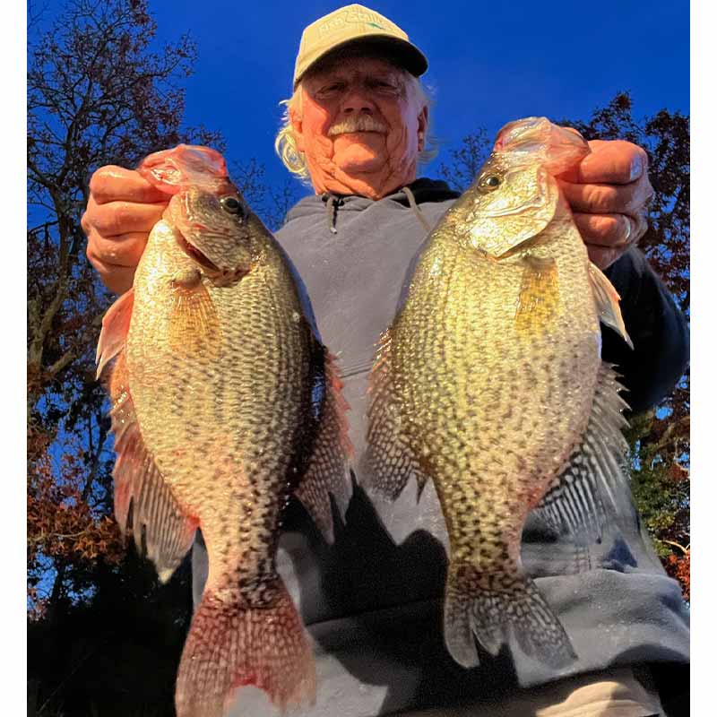 AHQ INSIDER Lake Wateree (SC) 2023 Week 48 Fishing Report – Updated November 30
