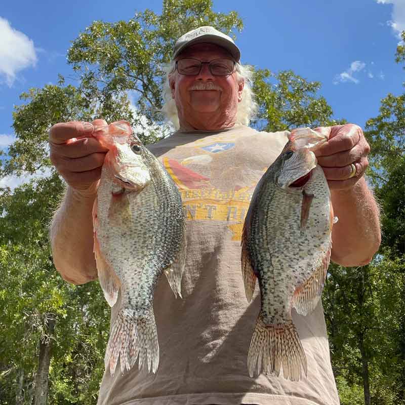 AHQ INSIDER Lake Wateree (SC) 2024 Week 36 Fishing Report – Updated September 5