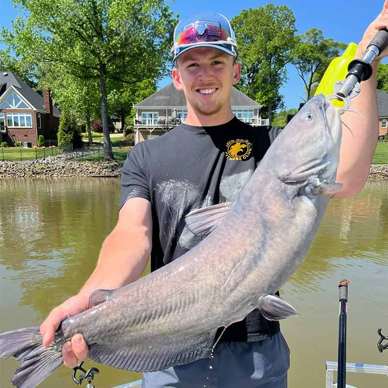 AHQ INSIDER Lake Wateree (SC) 2022 Week 19 Fishing Report – Updated May 12