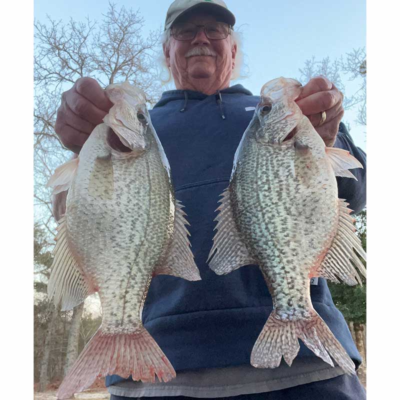AHQ INSIDER Lake Wateree (SC) 2024 Week 8 Fishing Report – Updated February 22