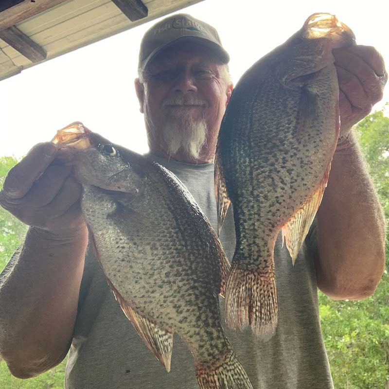 AHQ INSIDER Lake Wateree (SC) 2023 Week 23 Fishing Report – Updated June 8