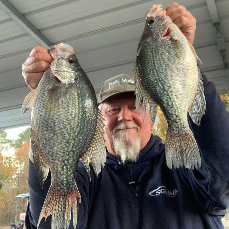AHQ INSIDER Lake Wateree (SC) Fall 2021 Fishing Report – Updated November 19