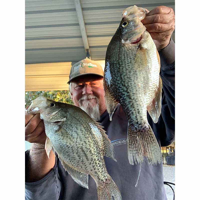 AHQ INSIDER Lake Wateree (SC) Fall 2021 Fishing Report – Updated October 20