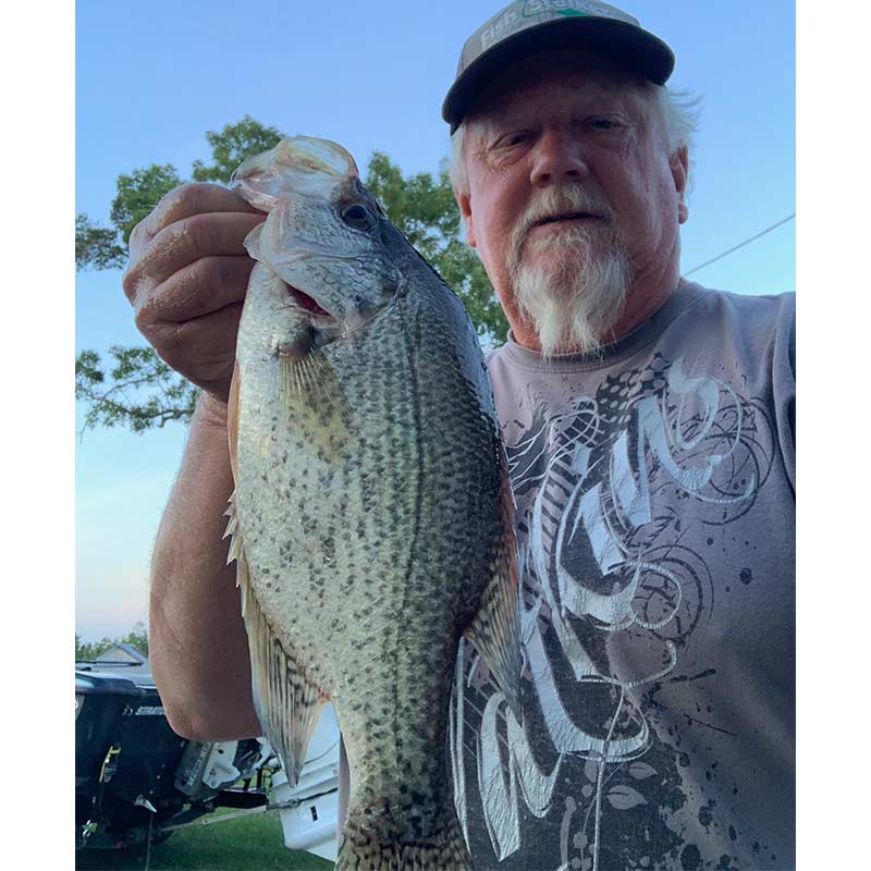 AHQ INSIDER Lake Wateree (SC) 2022 Week 23 Fishing Report – Updated June 10