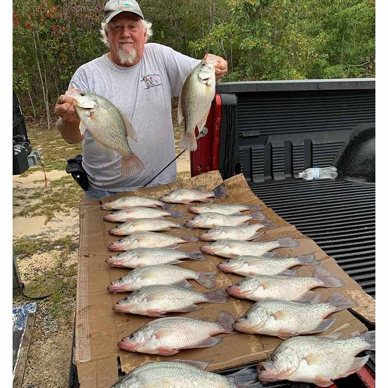 AHQ INSIDER Lake Wateree (SC) Fall Fishing Report – Updated October 9