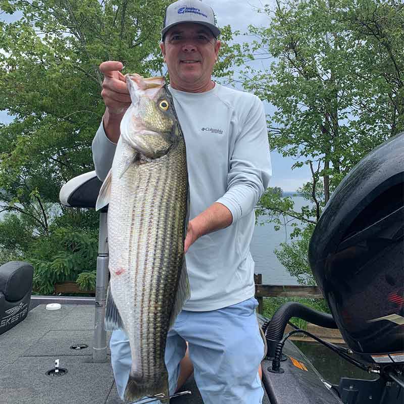 AHQ INSIDER Lake Wateree (SC) 2022 Week 29 Fishing Report – Updated July 22