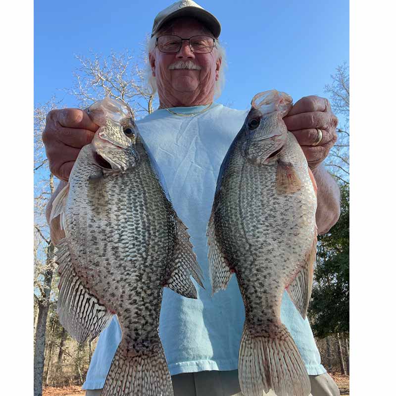 AHQ INSIDER Lake Wateree (SC) 2024 Week 9 Fishing Report – Updated February 29