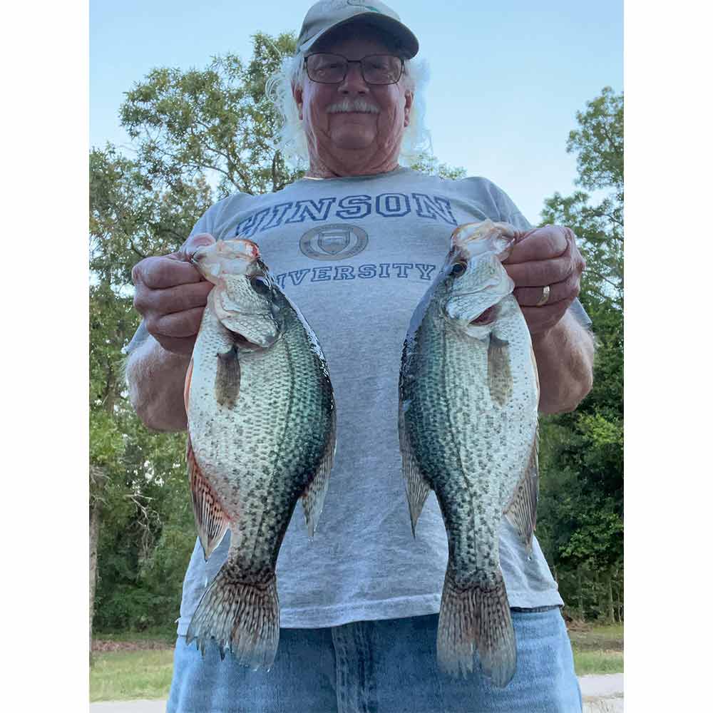 AHQ INSIDER Lake Wateree (SC) 2024 Week 24 Fishing Report – Updated June 12