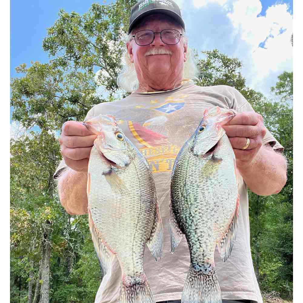 Will Hinson likes catching slabs and this shirt - Saturday on Lake Wateree